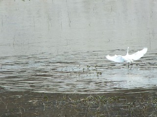 DSCF0048.JPG