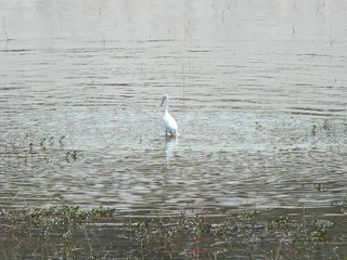 DSCF0049.JPG