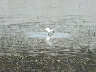 DSCF0050.JPG