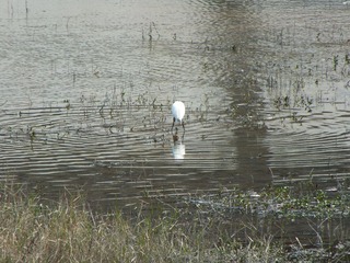 DSCF0051.JPG