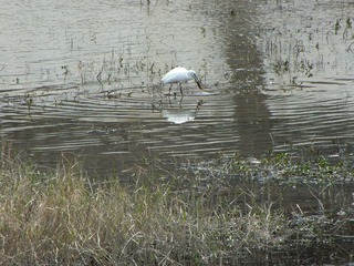 DSCF0053.JPG
