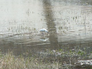 DSCF0054.JPG