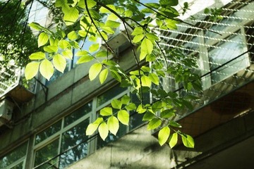 平淡温暖