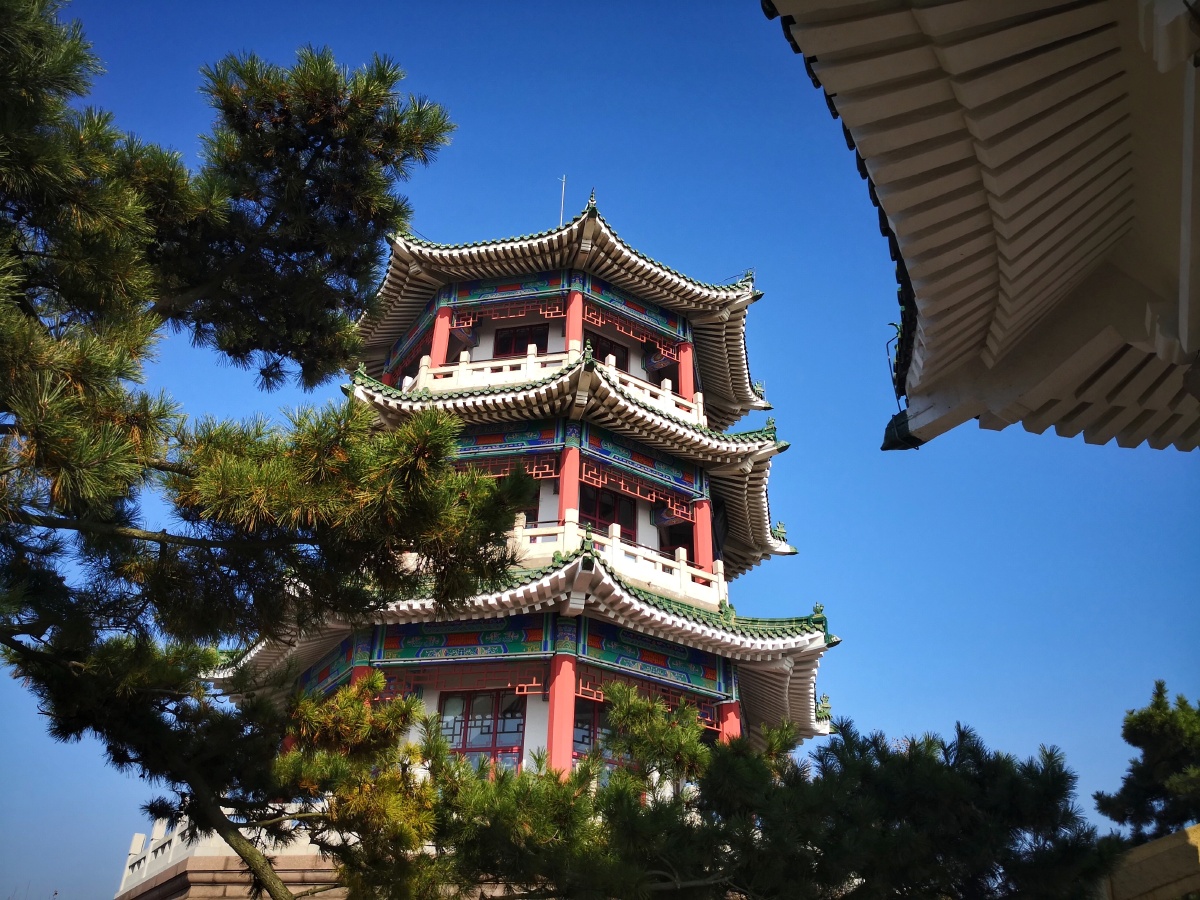 摄于青岛市小鱼山公园