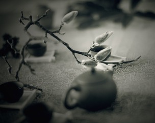 A0D_9564
