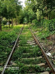 1000145608