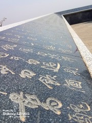 1000087176