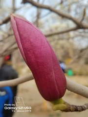 1000359084
