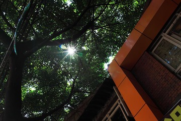 DPP_0030.JPG