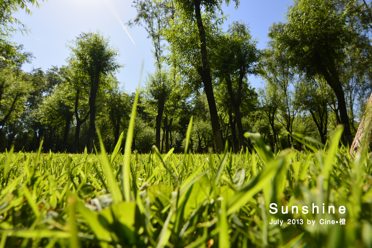 sunshine-生机 br />