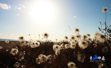 IMG_0982.JPG