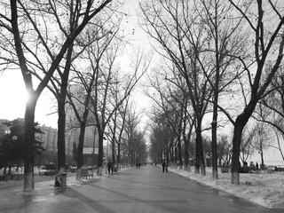 20130101_9.jpg