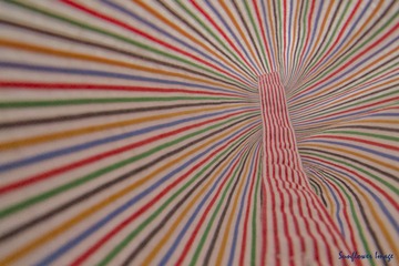 20130421_1副本.jpg
