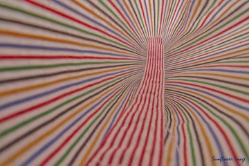 20130421_3副本.jpg