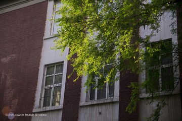 DSC_8291.jpg