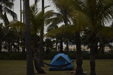 _DSC0247