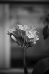 0F5116A2-9C36-4183-AD9C-7A2E552E64DC/L0/001
