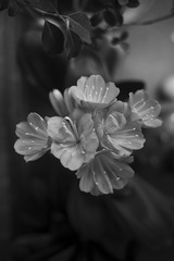 67F3AE97-7F79-41E6-AA74-6DDEE7A03D25/L0/001