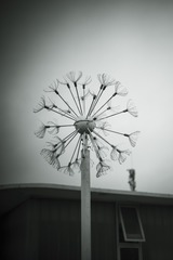 7881F079-FD2D-4F4A-B145-0F80124D3088/L0/001
