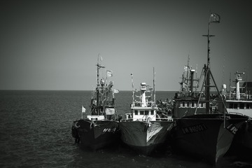 72F43D4C-47B1-462D-9A0B-CC264BA5A515/L0/001