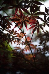 450B9EA9-1D72-4319-92FB-5FD7546FC284/L0/001