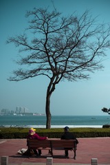 B31D9C51-F662-4D29-BA22-4935F8487BCD/L0/001