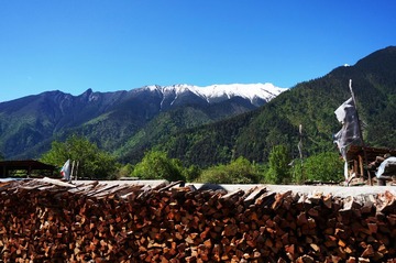 DSC03346-1.jpg