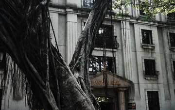 DSC04884-1
