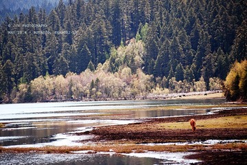3_DSC9401_s