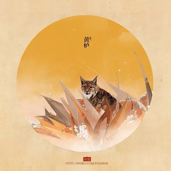 中国传统色彩太漂亮了 - 王立文 - 图虫