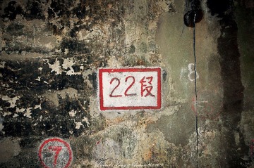 DSC_7967.jpg