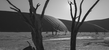 DSCF9643_51X23-s