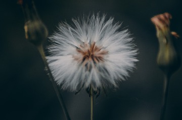 929834
