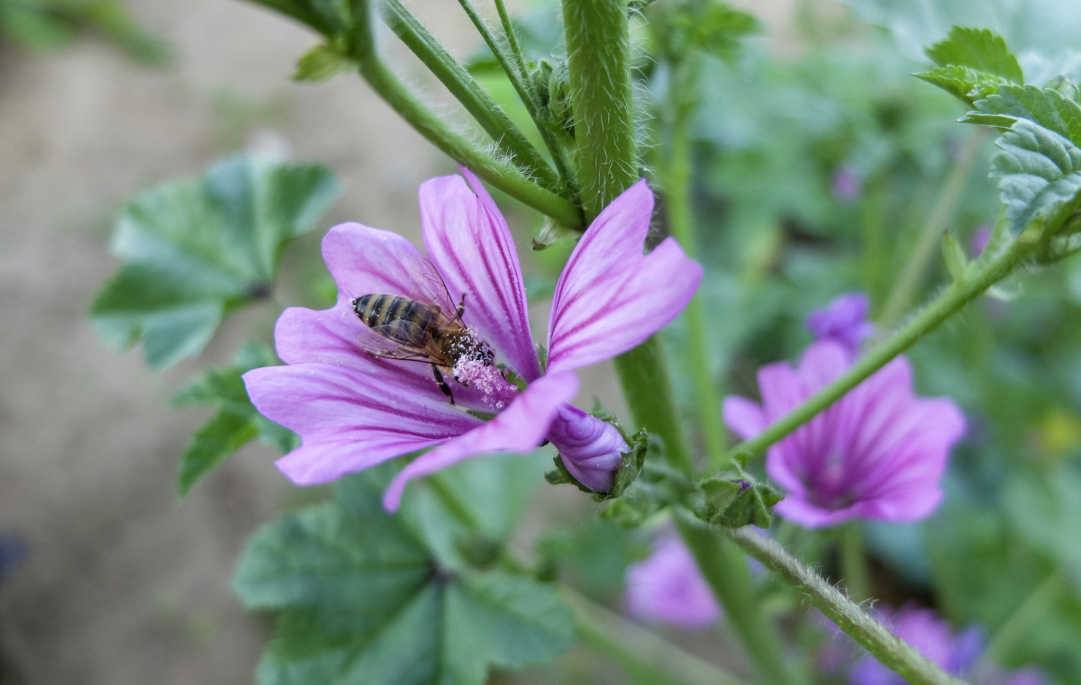 在阳光灿烂的日子里开怀大笑