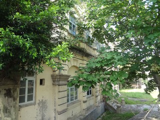 DSC03231.JPG