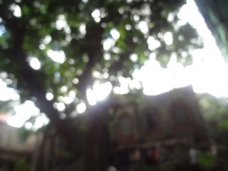 DSC03171.JPG