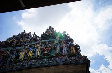 DSC07564.jpg