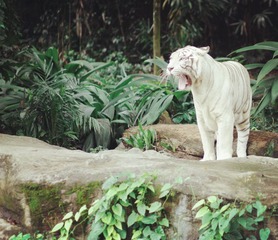 img_8836.jpg