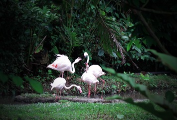 img_8905.jpg