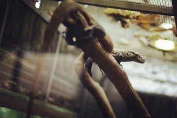 img_8972.jpg