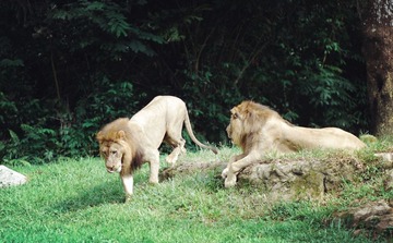img_9108.jpg