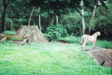 img_9157.jpg