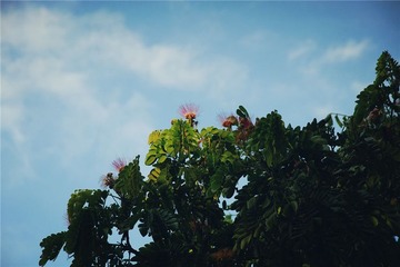 dsc01085_副本.jpg