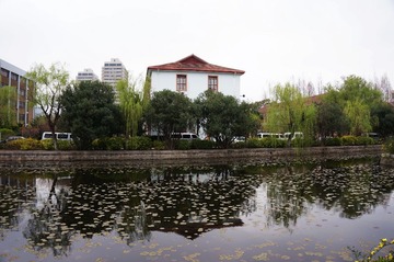 DSC04329.JPG