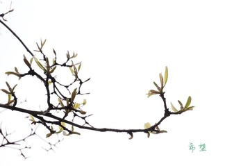 DSC04465_副本.jpg