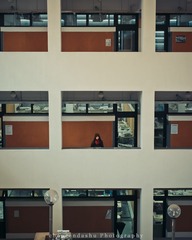 _DSC3017-6
