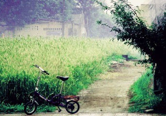DSCF8007.jpg