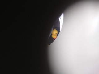 1323040