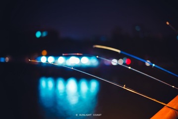 L1000312