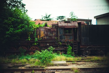 L1000113